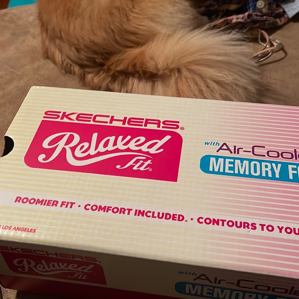 Brand new in box Skechers